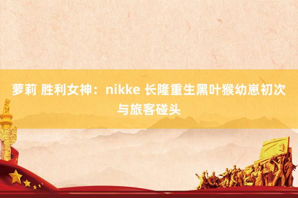 萝莉 胜利女神：nikke 长隆重生黑叶猴幼崽初次与旅客碰头