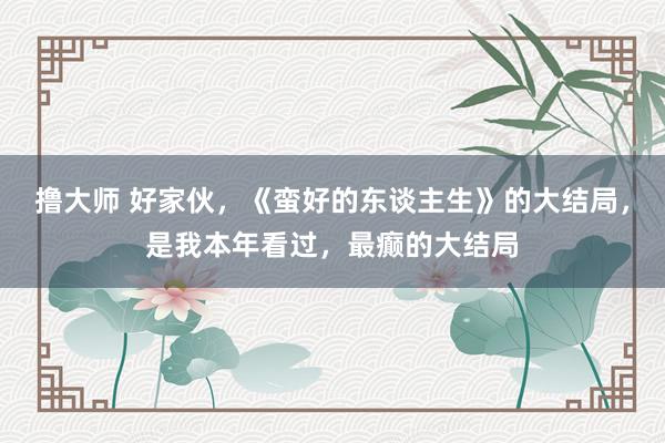 撸大师 好家伙，《蛮好的东谈主生》的大结局，是我本年看过，最癫的大结局