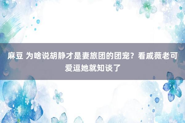 麻豆 为啥说胡静才是妻旅团的团宠？看戚薇老可爱逗她就知谈了