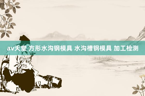 av天堂 方形水沟钢模具 水沟槽钢模具 加工检测
