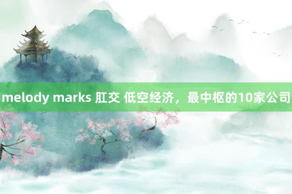melody marks 肛交 低空经济，最中枢的10家公司