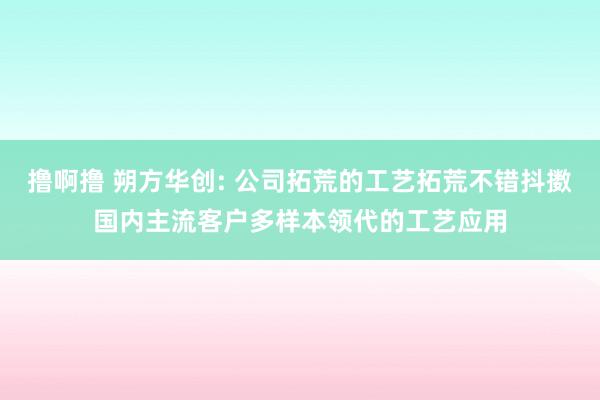 撸啊撸 朔方华创: 公司拓荒的工艺拓荒不错抖擞国内主流客户多样本领代的工艺应用