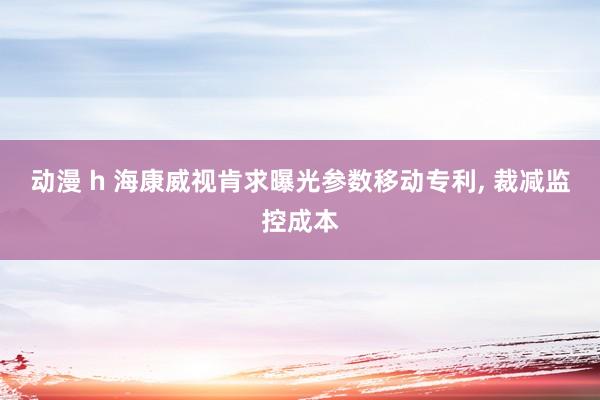 动漫 h 海康威视肯求曝光参数移动专利， 裁减监控成本