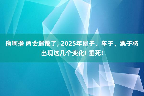 撸啊撸 两会遣散了， 2025年屋子、车子、票子将出现这几个变化! 垂死!