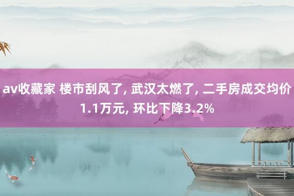 av收藏家 楼市刮风了， 武汉太燃了， 二手房成交均价1.1万元， 环比下降3.2%