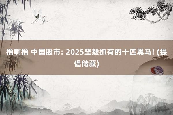 撸啊撸 中国股市: 2025坚毅抓有的十匹黑马! (提倡储藏)