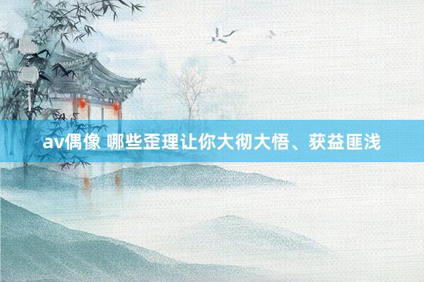 av偶像 哪些歪理让你大彻大悟、获益匪浅