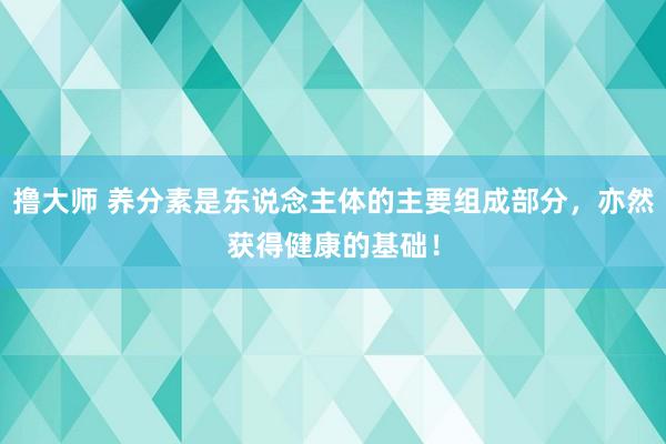 撸大师 养分素是东说念主体的主要组成部分，亦然获得健康的基础！