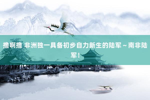 撸啊撸 非洲独一具备初步自力新生的陆军～南非陆军！