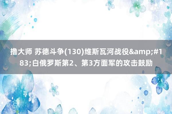 撸大师 苏德斗争(130)维斯瓦河战役&#183;白俄罗斯第2、第3方面军的攻击鼓励
