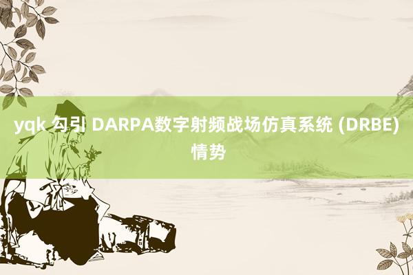 yqk 勾引 DARPA数字射频战场仿真系统 (DRBE) 情势