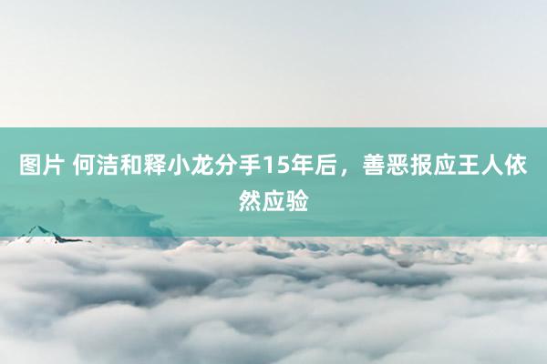 图片 何洁和释小龙分手15年后，善恶报应王人依然应验