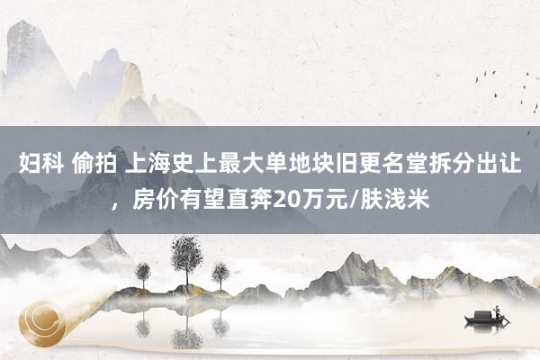 妇科 偷拍 上海史上最大单地块旧更名堂拆分出让，房价有望直奔20万元/肤浅米